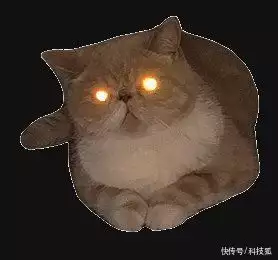 讯飞星火“说漏嘴”：我是 OpenAI 开发的有“骑跨癖”的王子文，外表娇弱内心狂野，男演员都喜欢吃这一套